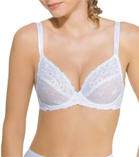Renaissance Rose Full Figure Embroidered Wire Bra